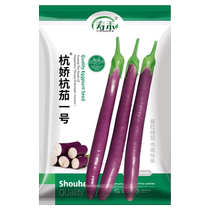 Shouhe Hangjiao Hangqie No. 1 seed vegetable seeds 100 rapeseed eggplant long eggplant line eggplant seeds