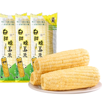 Zou Youcai Northeastern white sweet glutinous corn on the cob 220g*8 pieces vacuum double-layer packaging freshly picked fresh sticky breakfast