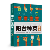 Balcony Species Vegetable Master and Grass Horticultural Vegetables Cultivation of Balcony Vegetable Garden