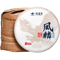 2024 New Tea Spot Xinyi Haotou Spring Ancient Tree Puer Tea Raw Tea Cake Selection Fenglin 200g*5 Cake Whole Delivery