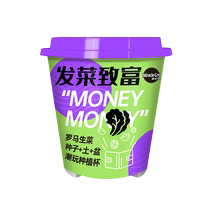 Meileke trendy play planting cup Romaine lettuce balcony garden four-season toys small potted plant