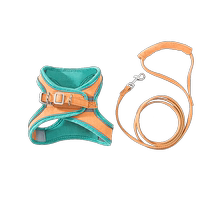 Cat traction rope cat walking artifact adjustable anti-breakaway vest kitten walking and pet supplies