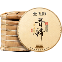 2024 New Tea Spot Xinyi No. Yunnan Ancient Tree Puer Tea Ancient 500 Xigui Golden Leaf 357g*7 Cake Whole Pick