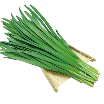 Shou He Shen Lee No. 3 leek seeds vegetable seeds 10g four-season vegetable seeds rapeseed seeds nine vegetables
