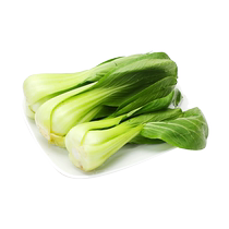 Affordable rapeseed (weighed) about 500g serving