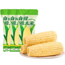 Zou Youcai Northeast White Sweet Glutinous Corn Cob 250g*3 Vacuum Packed Glutinous Sweet Breakfast Corn Cob Coarse Grains
