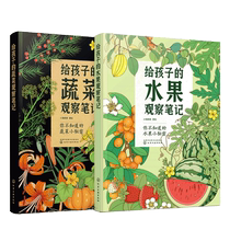 Fruit and vegetable observation notes for children 2 volumes in total 3-6-8-year-old art illustration primary school students reading popular science picture book