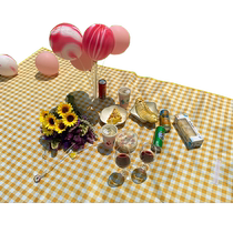 Picnic mat moisture-proof mat outdoor floor mat portable camping picnic waterproof spring outing cushion 200CM*190CM