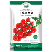 Shouhe Millennium Cherry Tomato Seeds Vegetable Seeds 30 Vegetable Seeds Cherry Four Seasons Small Tomatoes