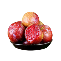 Guangdong Sanhua Plum 500g box