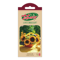Cute sunflower sunflower seeds home gardening garden balcony flower seeds potted ground planting