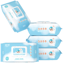 Libon wet wipes for 80 cramps of 5 packs