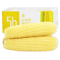 Tianqin Lilijing New Season Organic Vacuum Packaging Sweet Waxy Corn 200g*10 Pack of Miscellaneous Grains