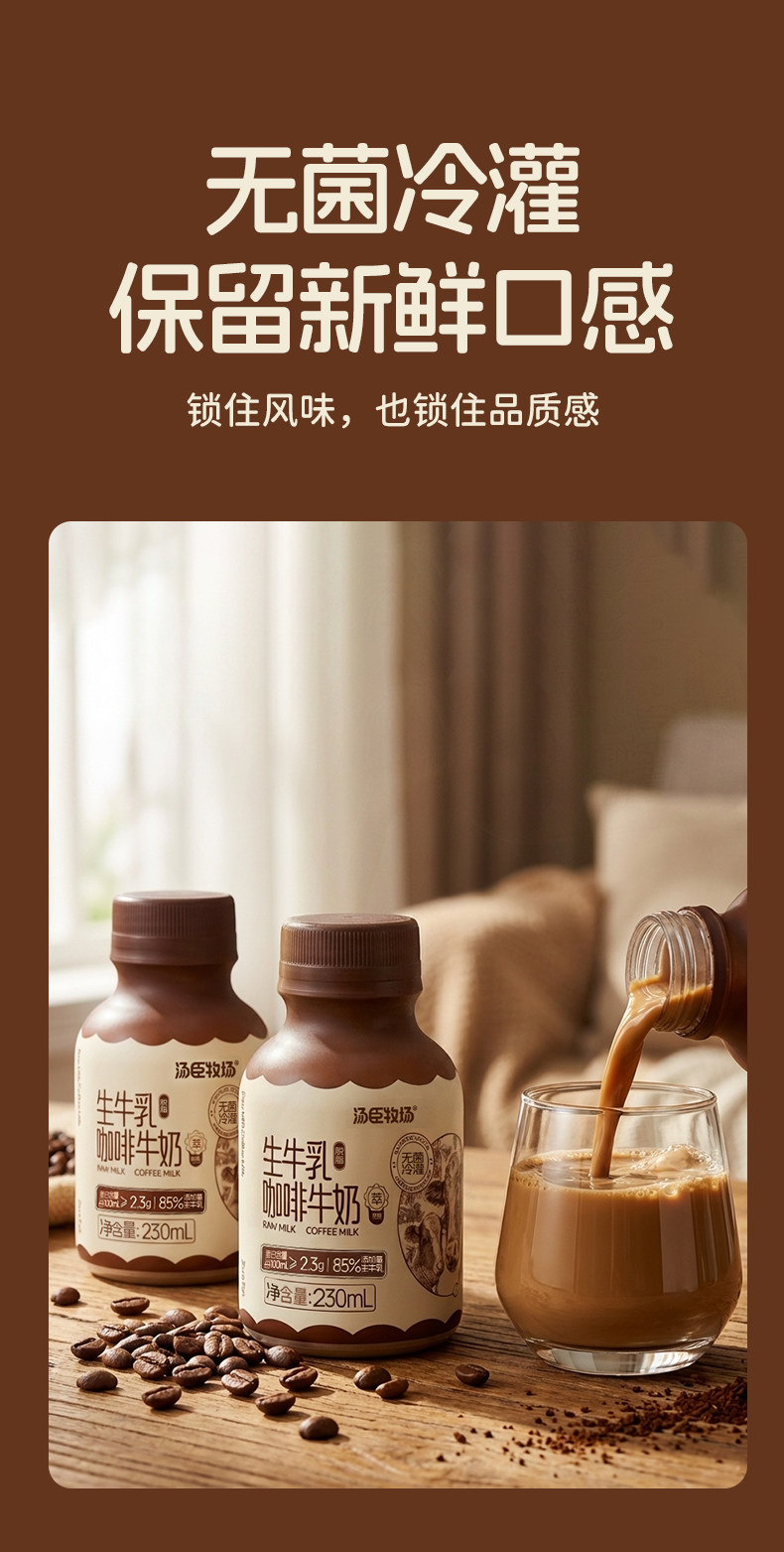 安享好物 安享B级含乳饮料-汤臣牧场咖啡牛奶 国标 