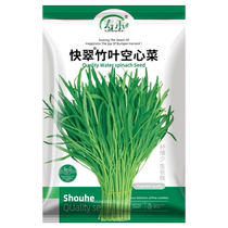 Shouhe Kuaicui Bamboo Leaf Water Spinach Seeds Vegetable Seeds 30g Rapeseed Seeds Four Seasons Small Leaf Greens