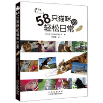 58 Cats’ Relaxing Daily Life by Japanese Handicraft Design Studio Home Furnishing