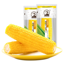 (2023 New maize) Northeastern farming sister-in-law ready-to-eat fruit sweet corn ears 8 sweet and crunchy multijuicy meals
