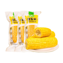 Zou Youcai Northeast Fruit Sweet Corn 220g*3 open bag ready-to-eat fresh no-cook corn vacuum-packed breakfast