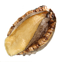Fresh abalone 25-27g only