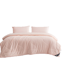 Sleeping Silk Quilt Summer Cool Quilt Tussah Silk Spring and Autumn Quilt Air-conditioned Quilt Double Silk Quilt Quilt Core Summer