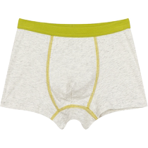Maladin childrens clothing boys boxer briefs autumn new style printed comfortable soft and breathable underwear 2 pack