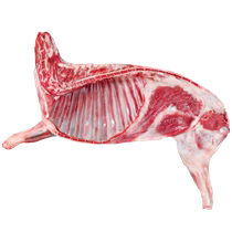 Qilian Tianbao half sheep 10 pounds of fresh suckling lamb raw mutton lamb legs lamb chops lamb scorpion hot pot ingredients