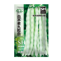 Shouhe Baibulao nine-grain white kidney bean seeds 50g seeds vegetable rapeseed high-yielding bean seeds