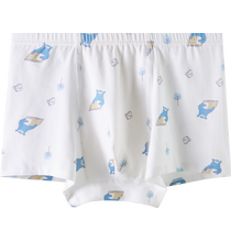 EUV boys underwear type A boys combed cotton boxer shorts medium and large childrens boxer briefs primary school students boxer briefs do not pinch buttocks