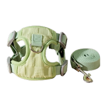 Fresh summer dog and cat leash vest type anti-breakaway dog ​​leash pet harness for outdoor use