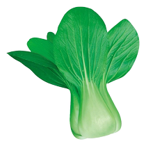 Shouho Zhengzong Shanghai Qingseed Vegetable Seed 10g-Hole Vegetable Seed Rape Seed Four Season Green Vegetable Purple Rape Green Stalk Vegetable