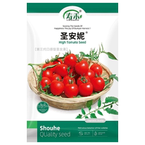 Shouhe Saint Anne cherry tomato seeds vegetable seeds 10 rapeseed small tomatoes tomatoes