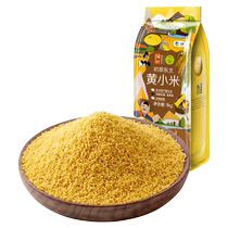 COFCO Chucui Grains Northeast Yellow Millet 1kg*1 Bag Millet Porridge