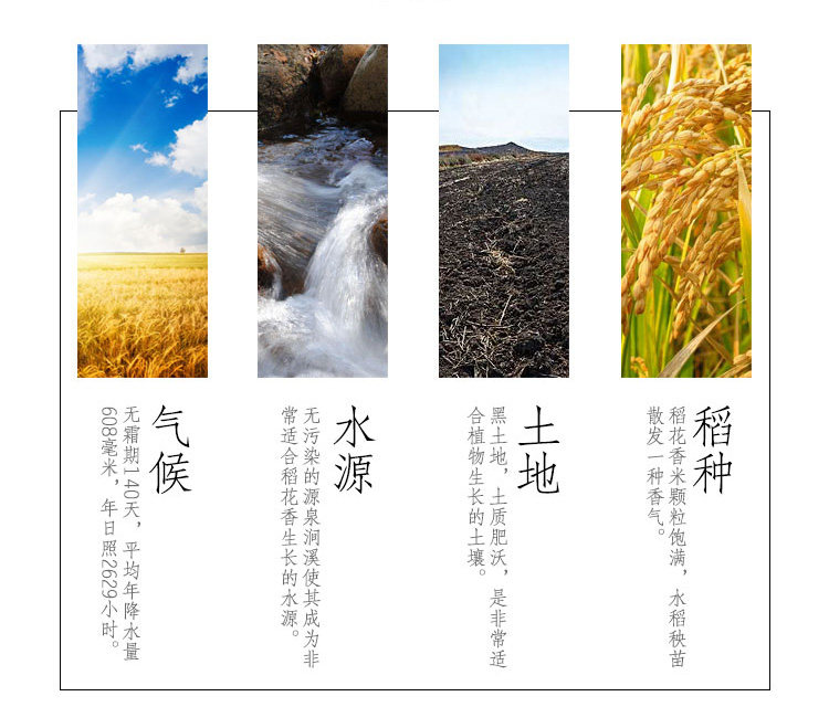 福临门稻花香5KG大米，郑州福临门大米批发总经销插图6