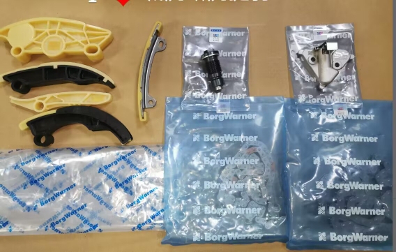 Jaguar Xfl Xel F-Pace Aj200 Engine Timing Kit Tensioner Chain Guide Rail