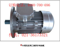 1 5KW motor shaft diameter 24MM flange diameter 200MM three-phase 380V 2800 rpm 60Hz vertical aluminum shell