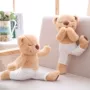 Khuyến mại giảm giá gấu yoga sản phẩm mới không chứa búp bê chưa hoàn thành hộp cotton loại PP đồ chơi vải sang trọng gấu bông qoobee