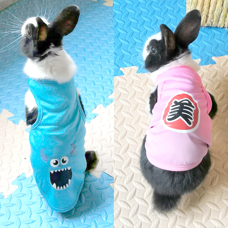 (Choose 6 pieces minus 10 yuan)Rabbit rabbit clothes Rabbit clothes Autumn and winter warm spring and summer two-legged clothes