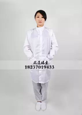 Pulsar stand collar zipper coat dust-free clean and quiet work clothes dust-proof anti-static clothing laboratory White pink pass