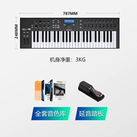 49 ключ черный+педаль+2T Массивный источник звука