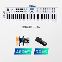 61 ключ белый+педаль+2T Массивный источник звука