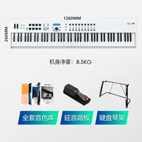 88 -Клеи белый+педаль+u фортепианная рама+2T Массивный источник звука