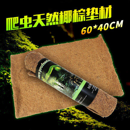 Reptiles Coconut Palm Mat reptile Drug Land Tortoise Leopard Tortoise Lizard Dust-free Reptile caramelized View