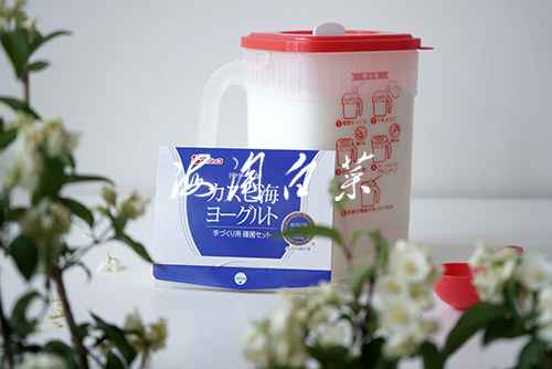 Japan fujicco Caspian yogurt lactic acid bacteria powder 3g*2 Sustainable fermentation 30,000 pounds of fresh milk