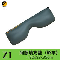 Z1