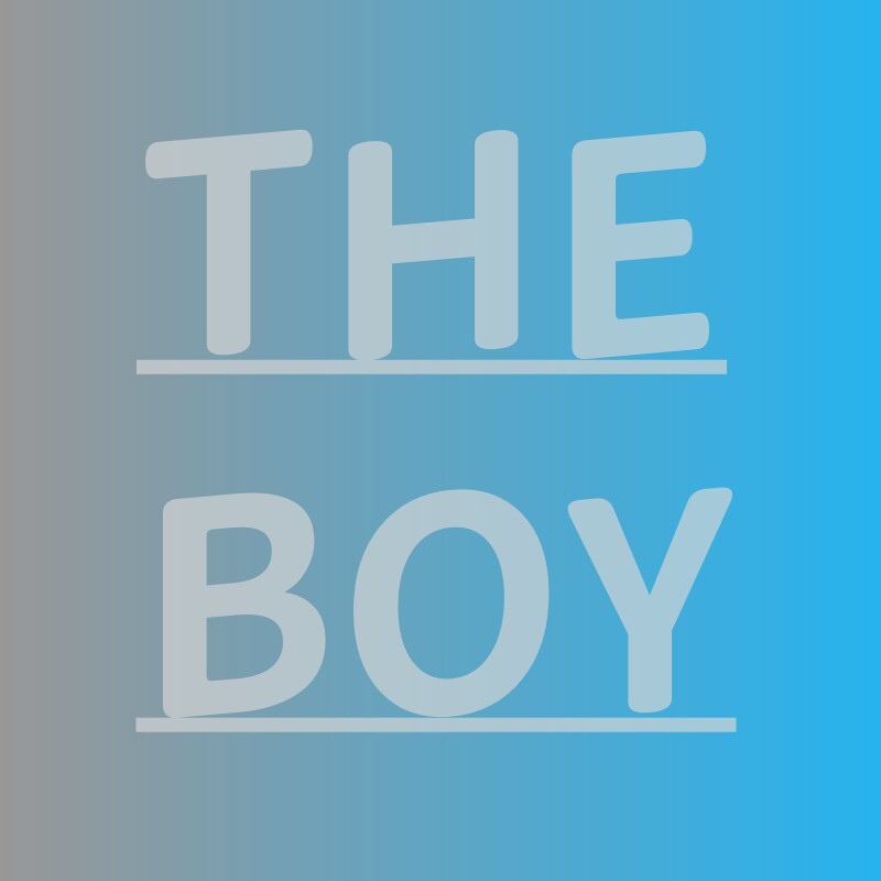 THE BOY 男孩内裤的LOGO