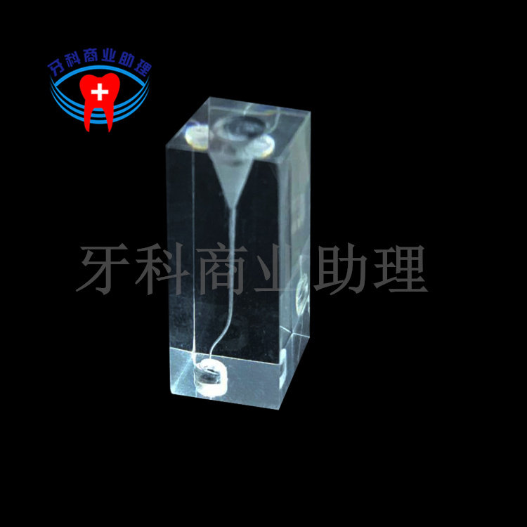 牙科口腔练习实习 双弯曲透明根管练习模型特殊弯曲练习块1个8001