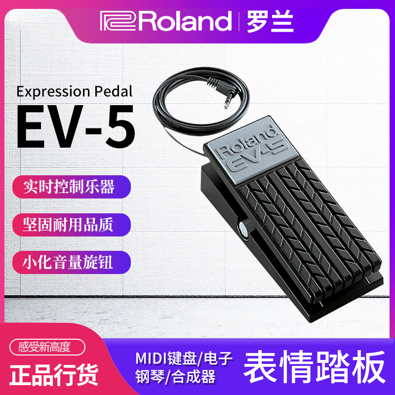 Roland Roland EV-5 Expression Volume Pedal EV5 Electric Guitar Effects Pedal Controller