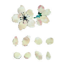 Dongle JOCKOMO P41 HSK Sakura Petal Electric Guitar Bass Body Sticker DIY Pickguard Decoration
