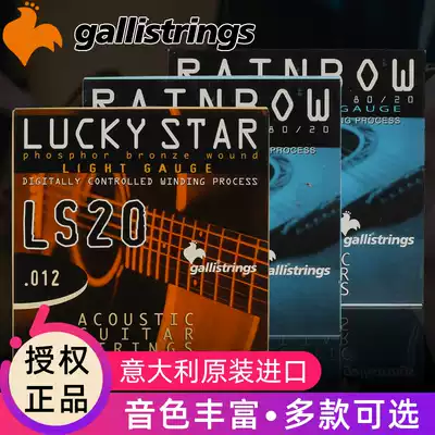 Made in Italy Gallistrings Galli LS20 Folk guitar strings Phosphorus brass strings set of six