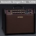 Roland BOSS ACS Pro Live Portable Gỗ Gỗ Acoustic Guitar Điện Hộp Loa Piano - Loa loa loa sony xb22 Loa loa